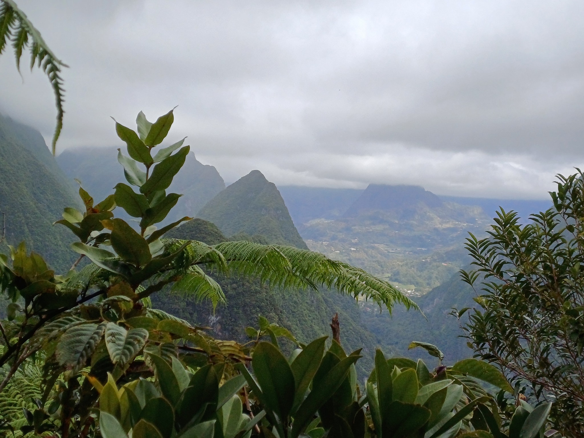 Vue sur le Cirque de Salazie depuis la forêt de Dioré