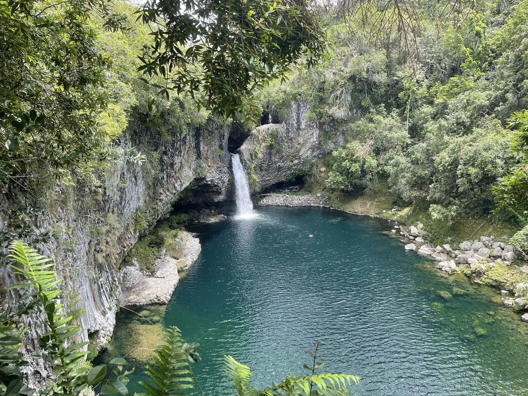 Bassin La Paix - La Réunion