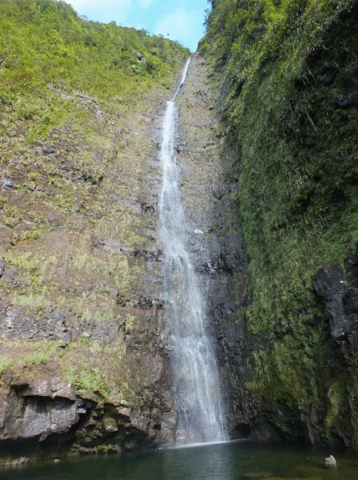 Cascade Biberon, La Plaine des Palmistes