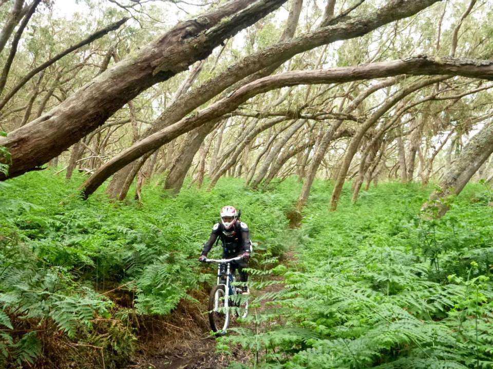 Descente VTT depuis le Piton Maïdo