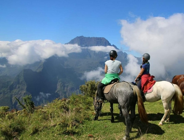 Balade à cheval dans la forêt du Maïdo